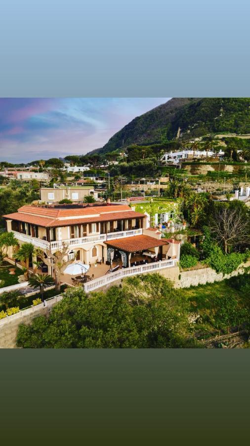 Villa Antonietta איסקיה מראה חיצוני תמונה
