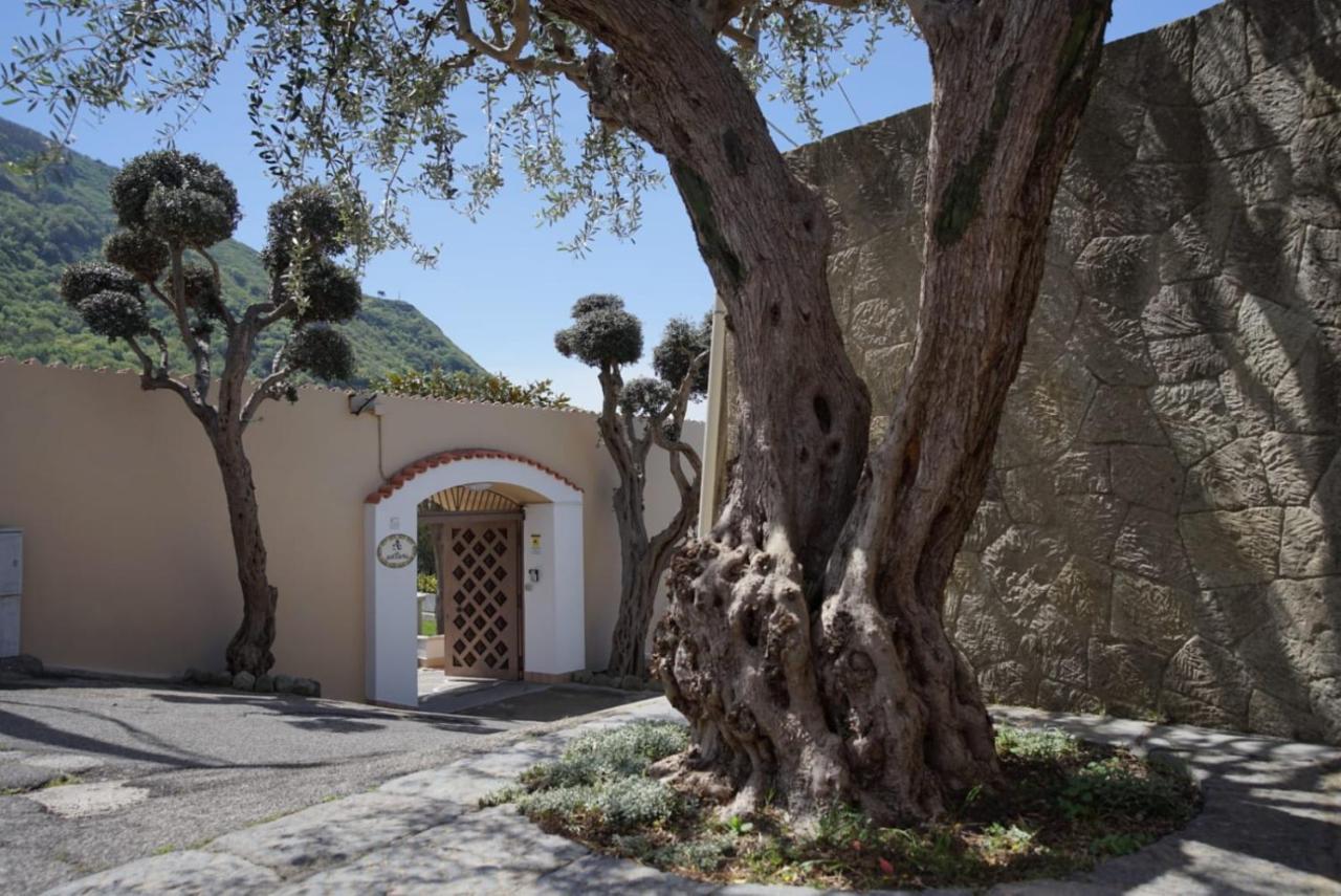 Villa Antonietta איסקיה מראה חיצוני תמונה